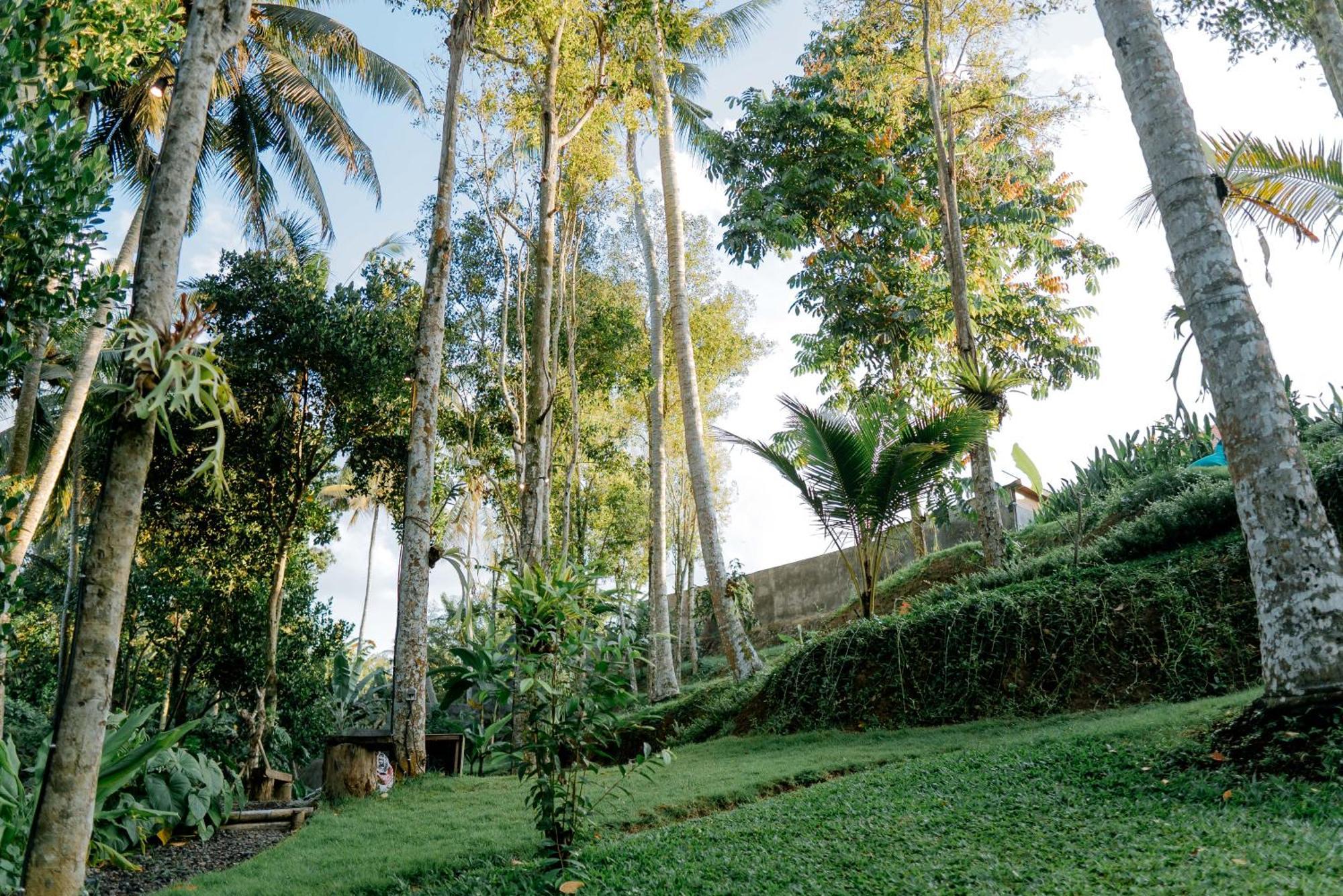 Hotel Bali Made Escape Payangan Esterno foto